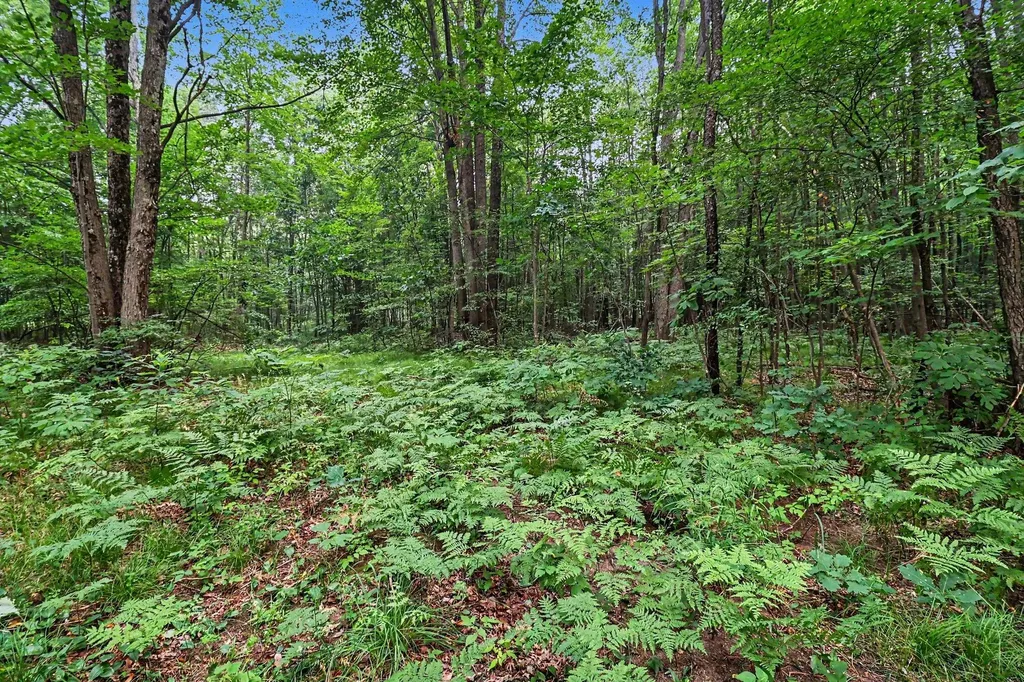 4994 E Madison Road Colfax Township MI 49459