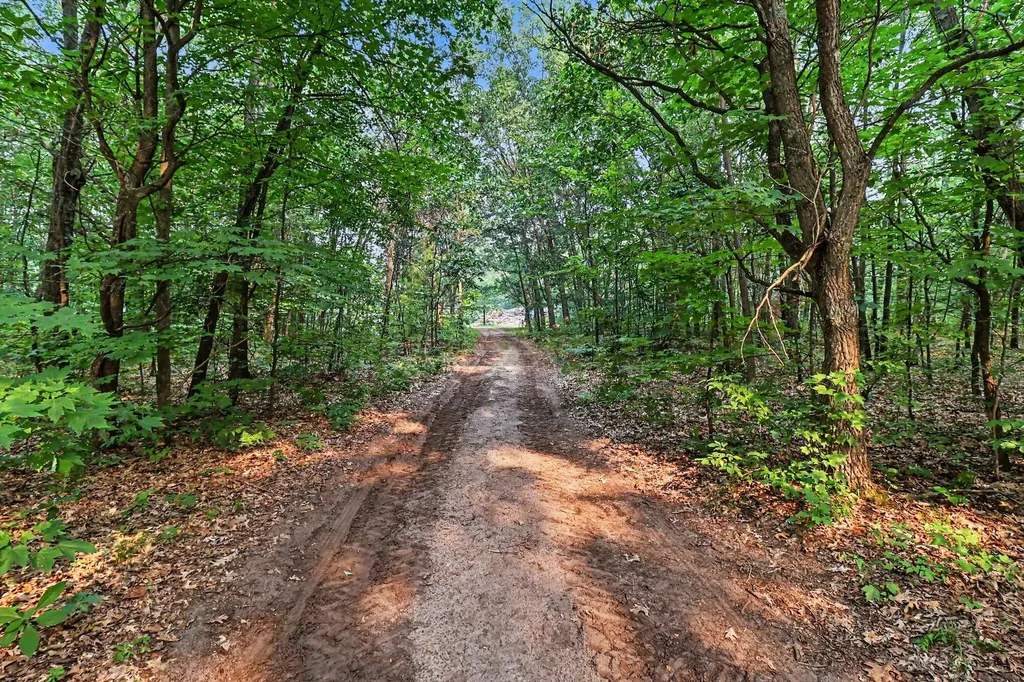 4994 E Madison Road Colfax Township MI 49459