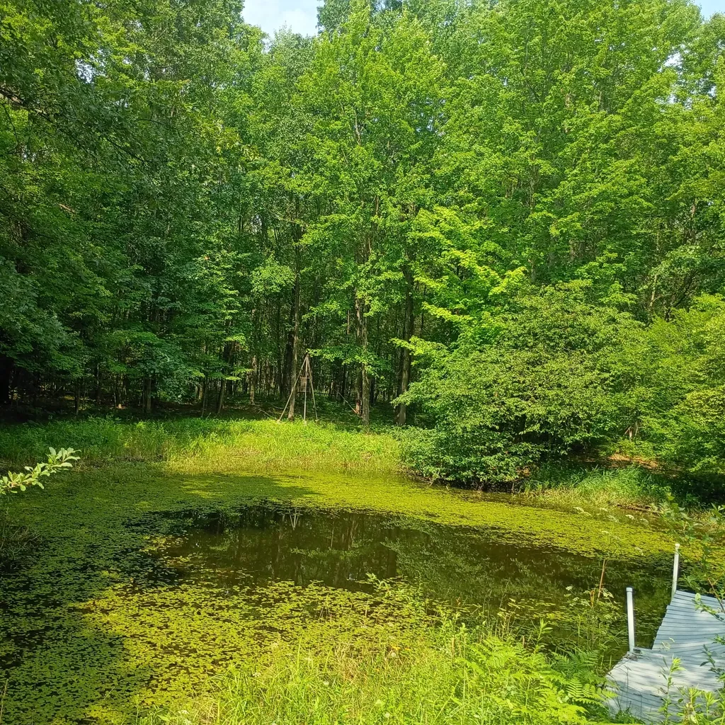 8045 W 16 Mile Troy Township MI 49309