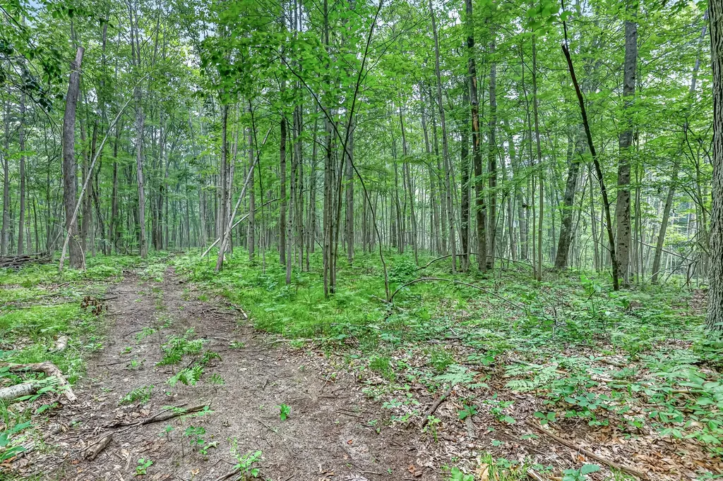 8045 W 16 Mile Troy Township MI 49309