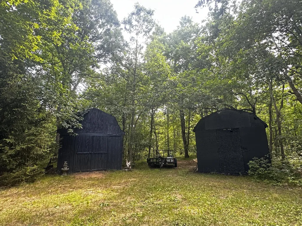 11384 N Irons Road Eden Township MI 49644
