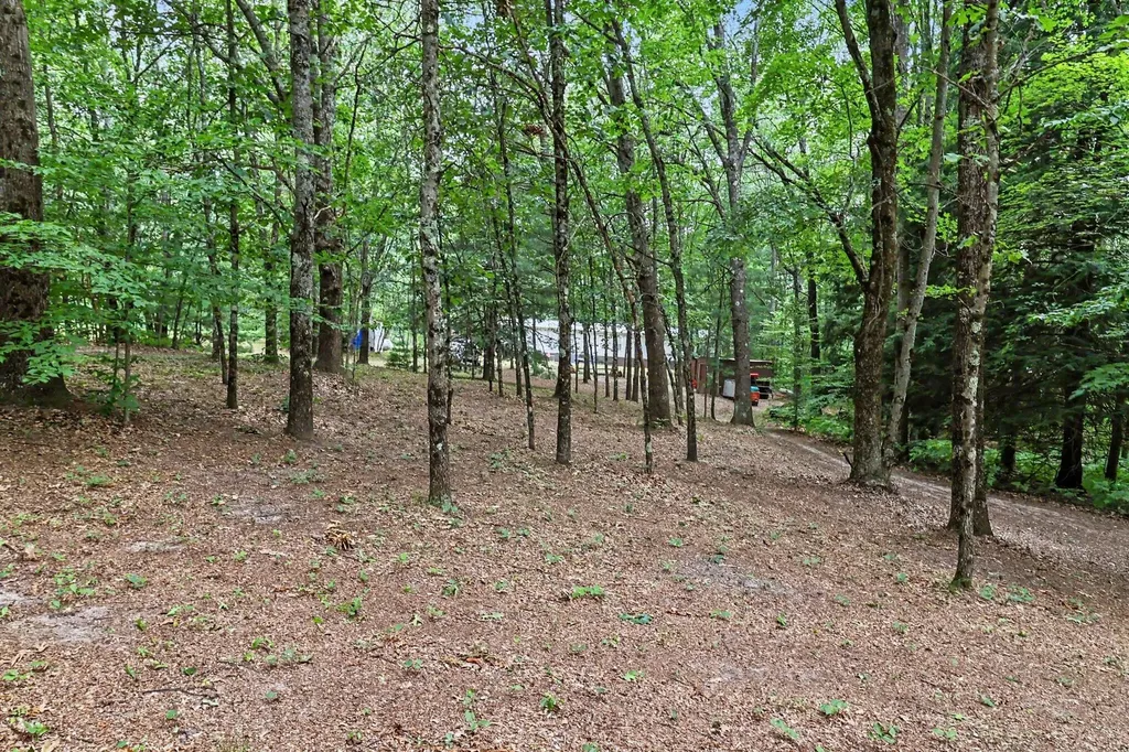9196 N Ruth Drive Colfax Township MI 49402