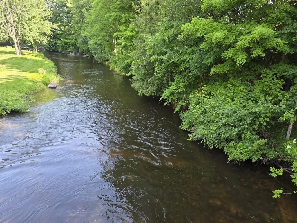9196 N Ruth Drive Colfax Township MI 49402