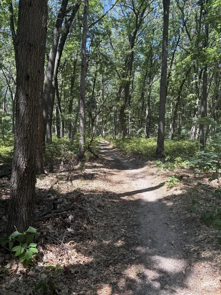 575 S Wolf Lake Road Egelston Township MI 49442