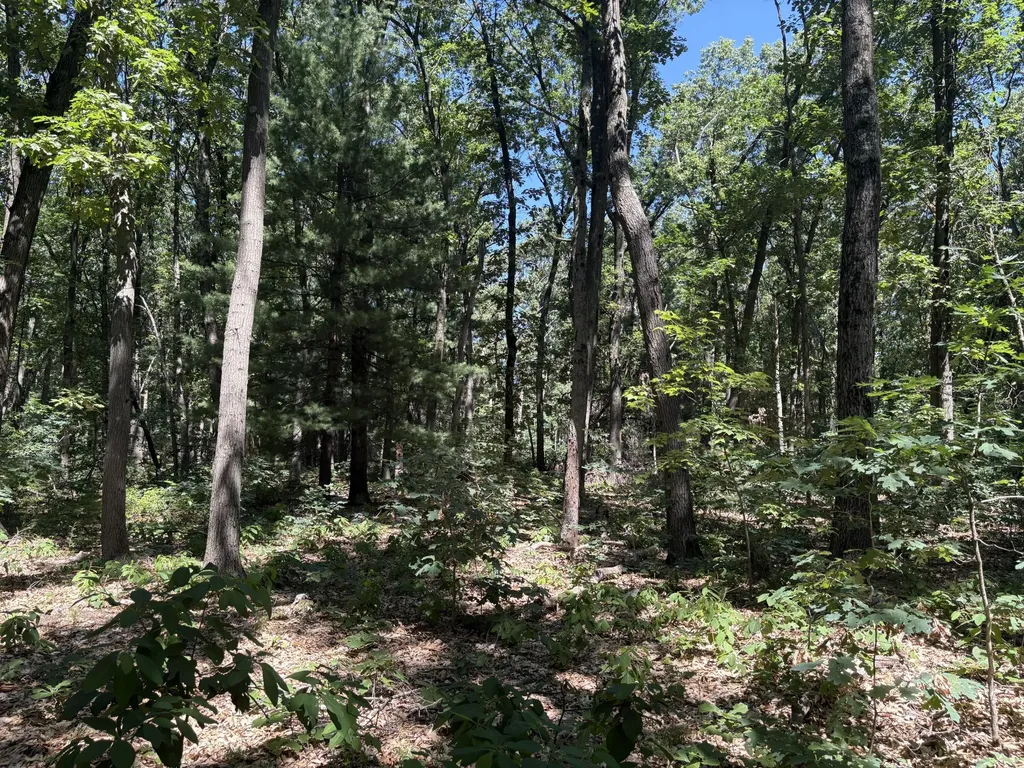 575 S Wolf Lake Road Egelston Township MI 49442