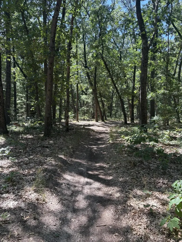 575 S Wolf Lake Road Egelston Township MI 49442