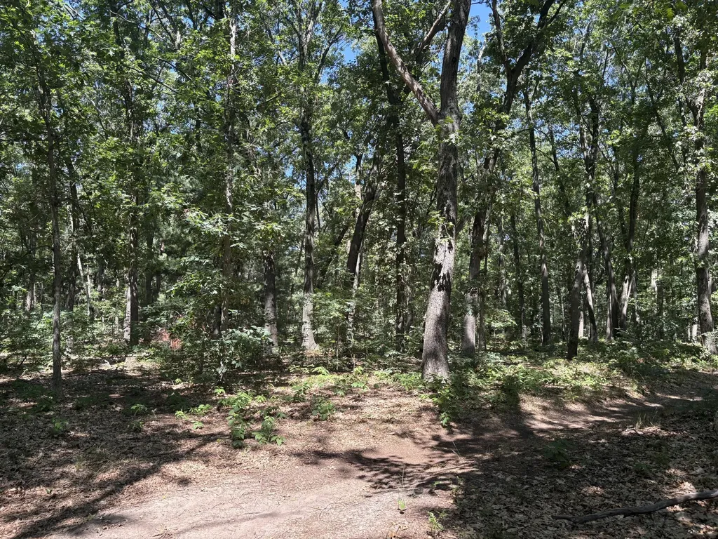 575 S Wolf Lake Road Egelston Township MI 49442