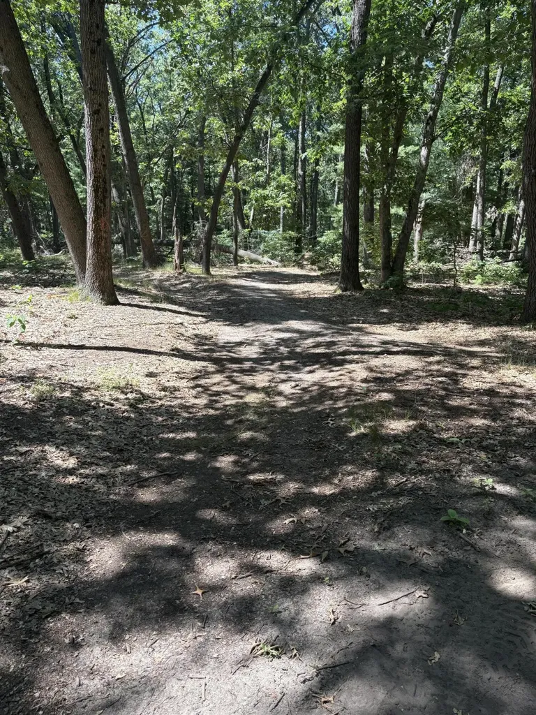 575 S Wolf Lake Road Egelston Township MI 49442
