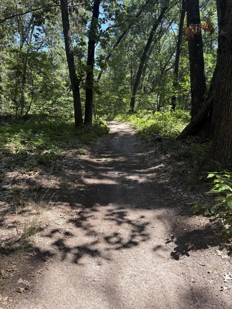 575 S Wolf Lake Road Egelston Township MI 49442