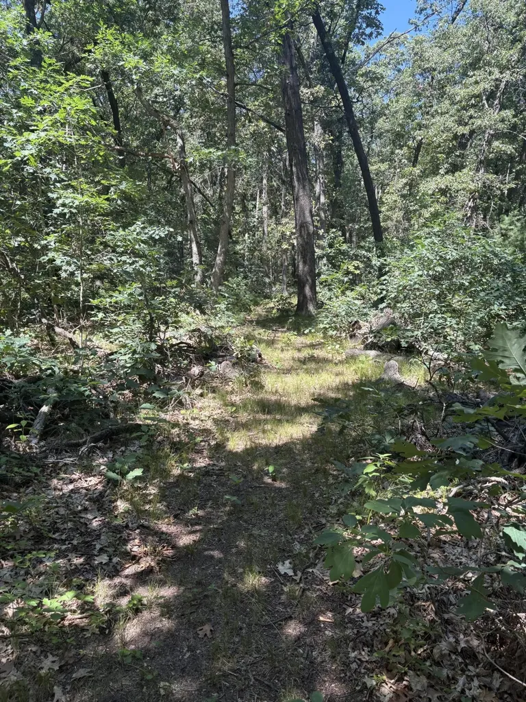 575 S Wolf Lake Road Egelston Township MI 49442