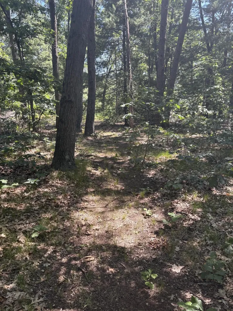 575 S Wolf Lake Road Egelston Township MI 49442