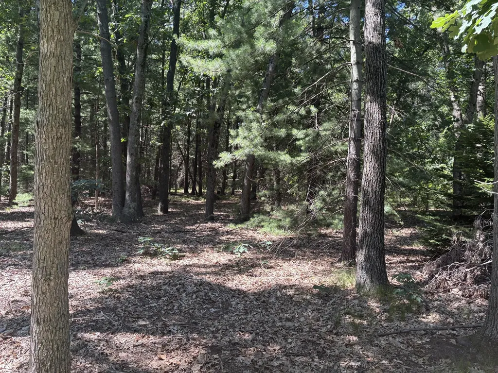 575 S Wolf Lake Road Egelston Township MI 49442
