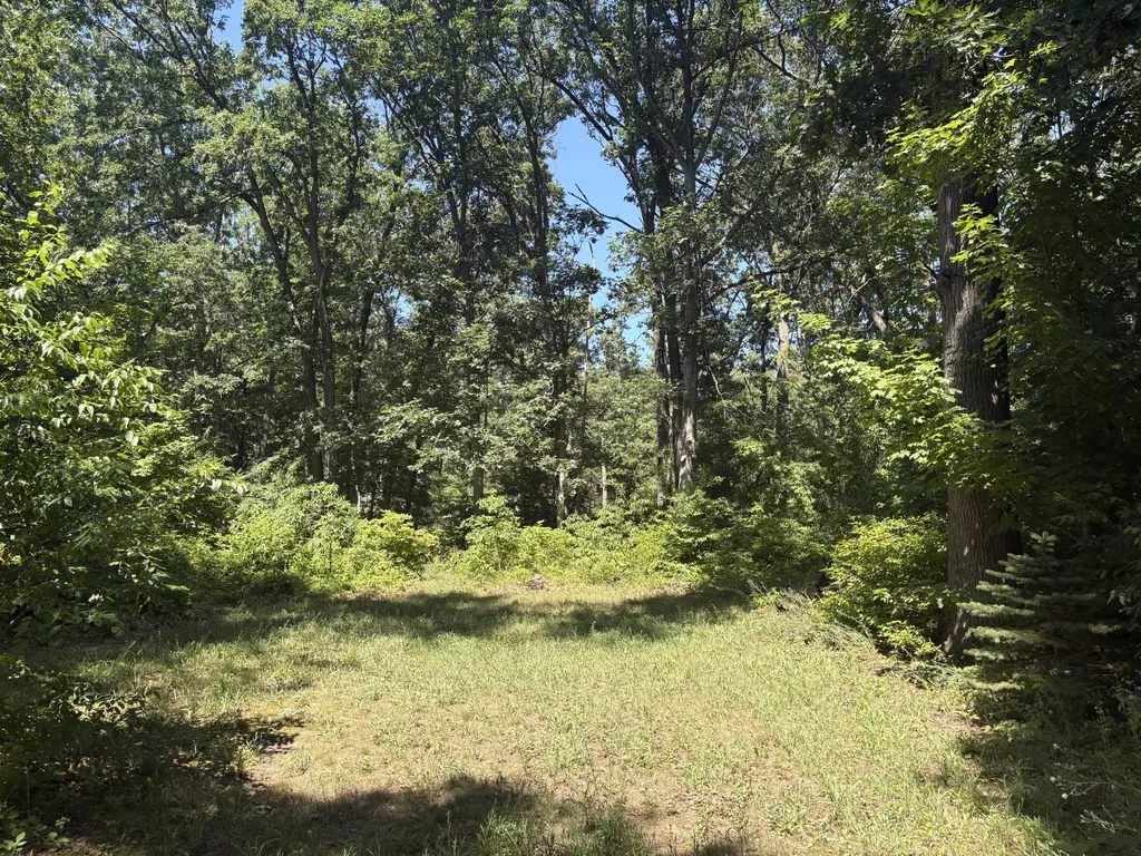 575 S Wolf Lake Road Egelston Township MI 49442