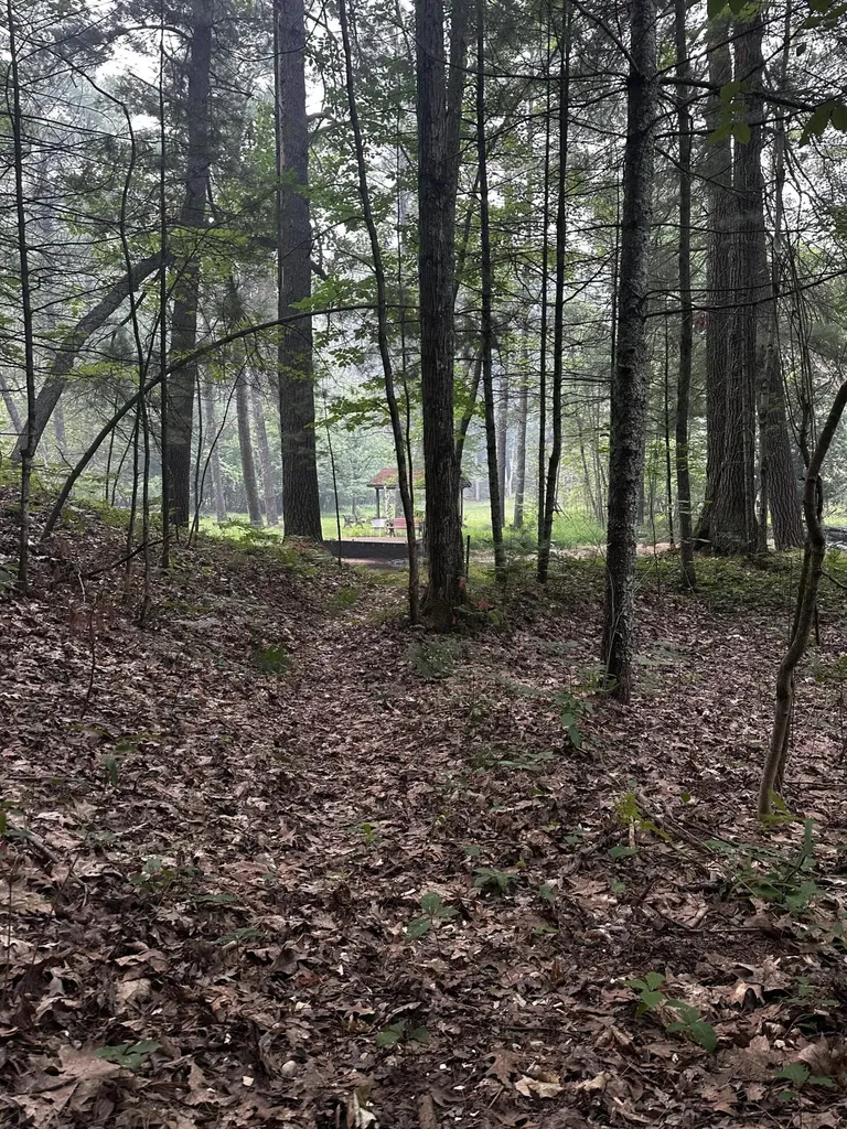 8047 W Peterson Road Elk Township MI 49644