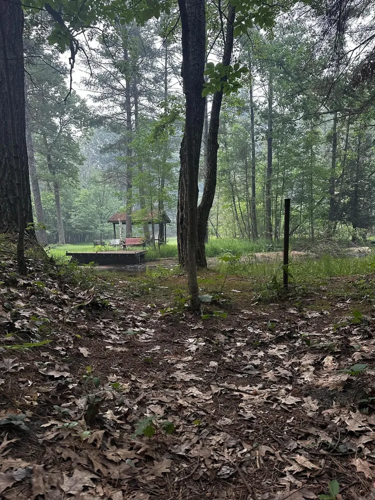 8047 W Peterson Road Elk Township MI 49644