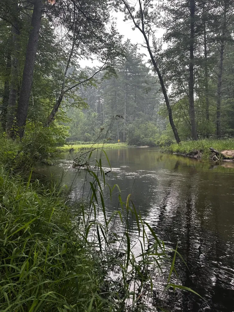 8047 W Peterson Road Elk Township MI 49644