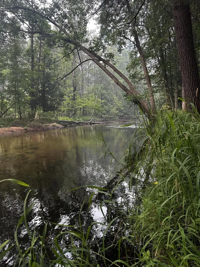 8047 W Peterson Road Elk Township MI 49644
