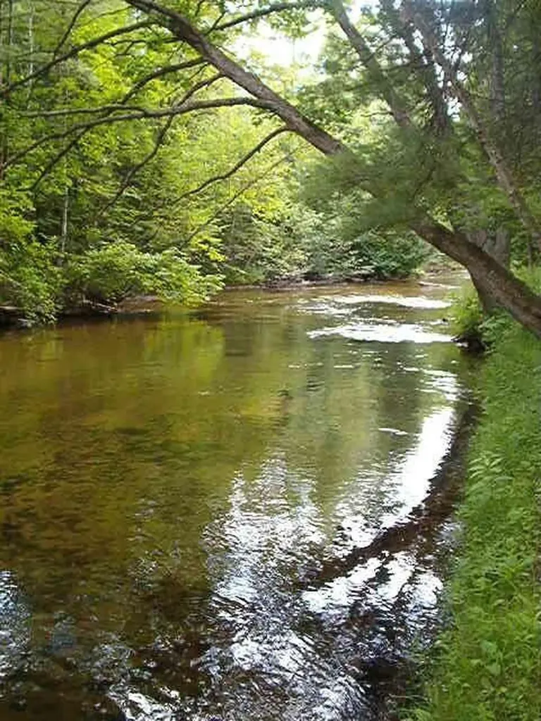 8047 W Peterson Road Elk Township MI 49644