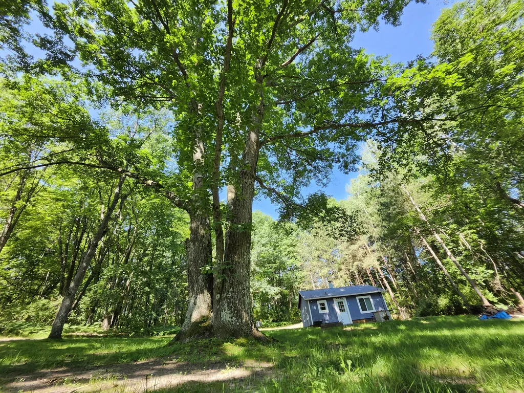 2867 E Hawley Road Eden Township MI 49405