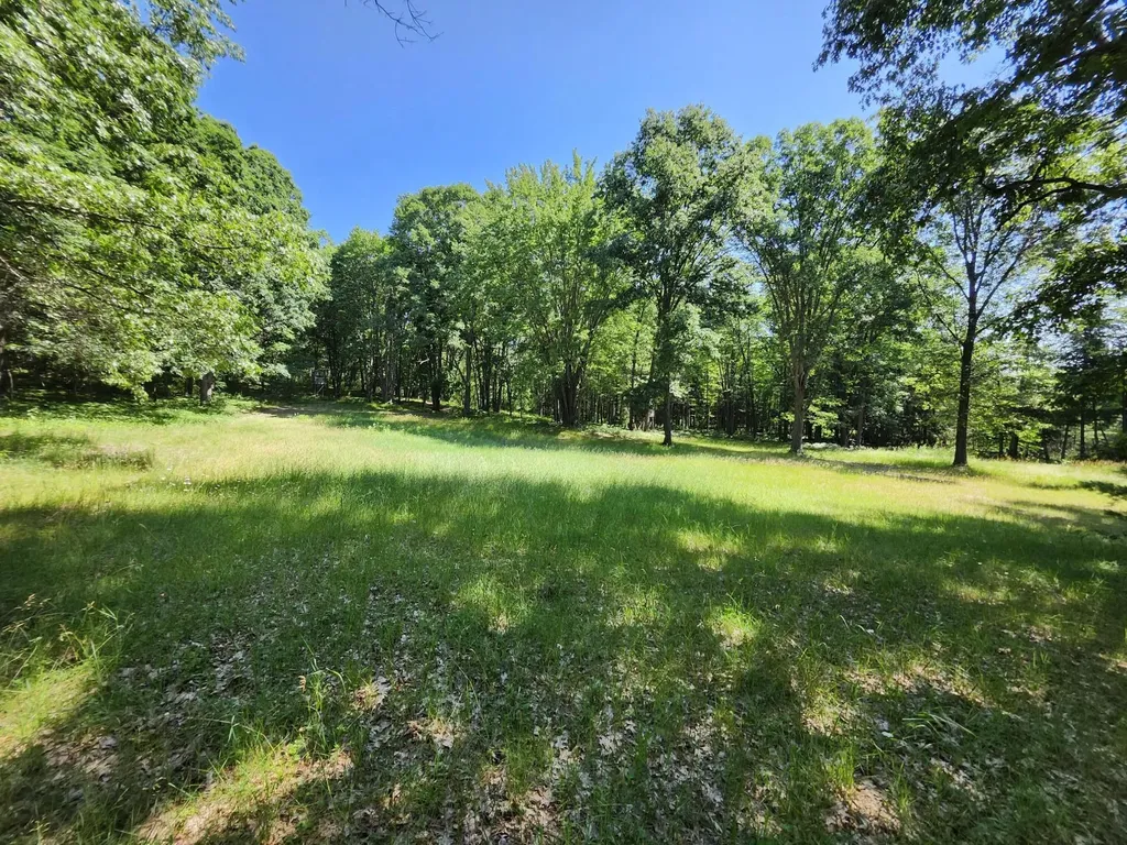 2867 E Hawley Road Eden Township MI 49405