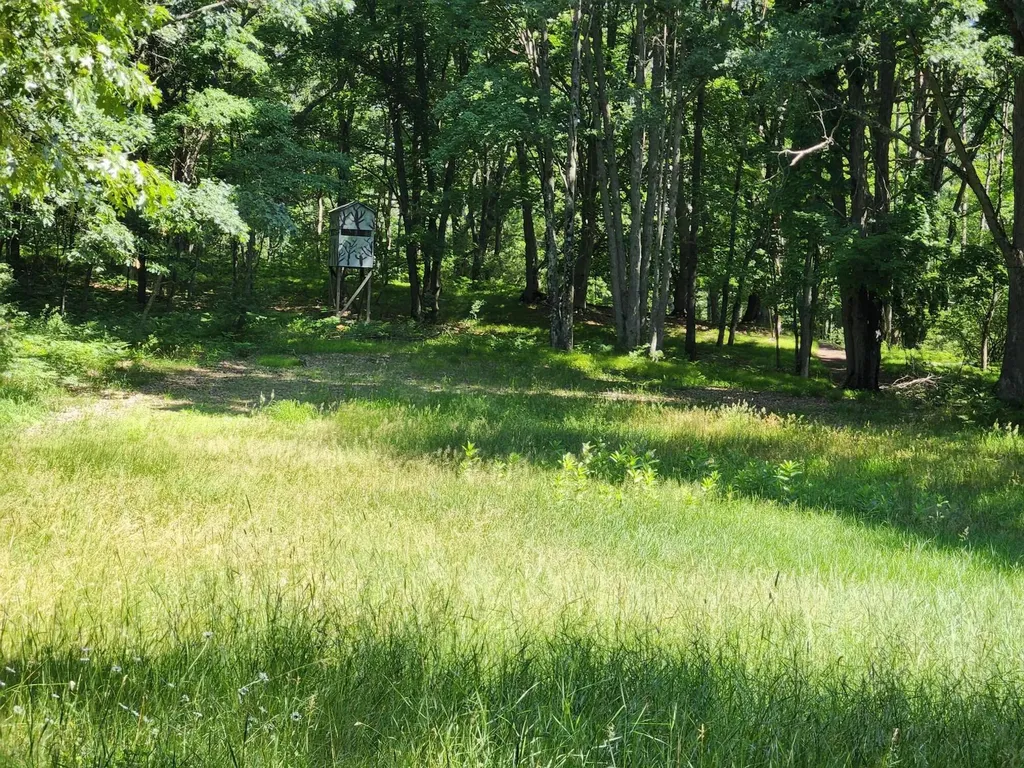2867 E Hawley Road Eden Township MI 49405