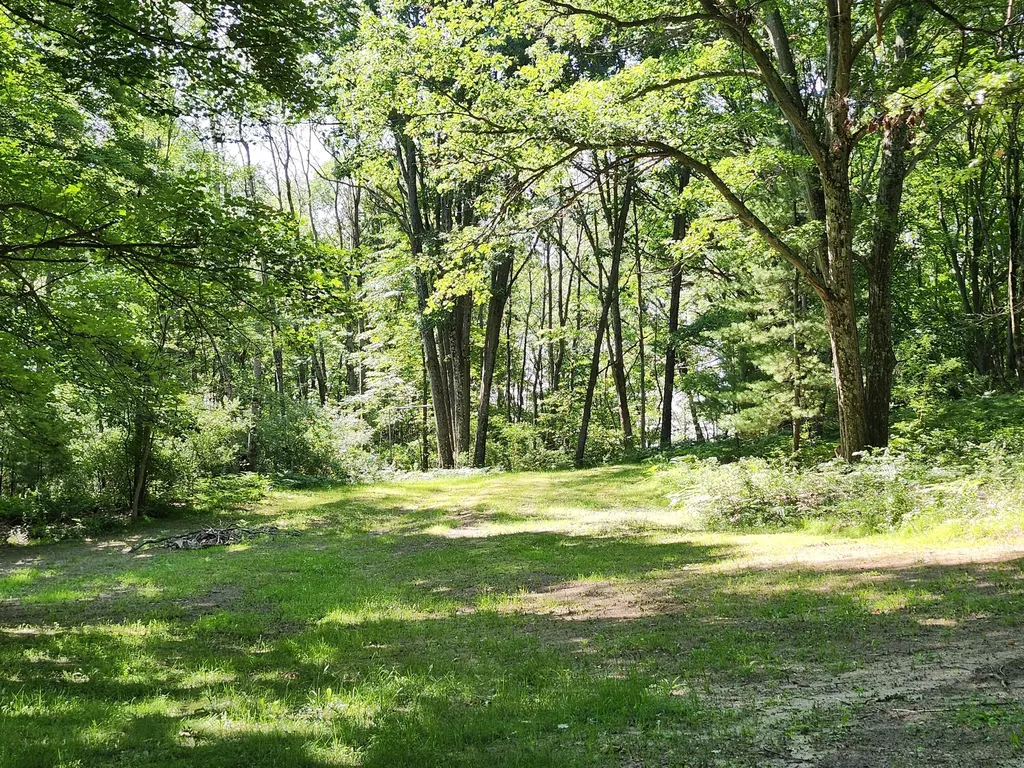 2867 E Hawley Road Eden Township MI 49405