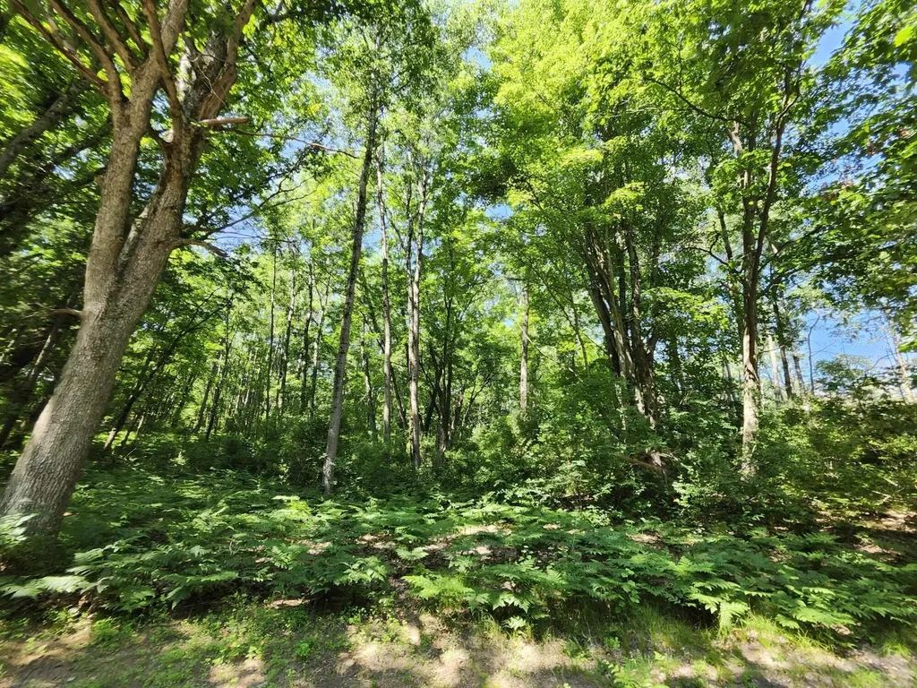 2867 E Hawley Road Eden Township MI 49405