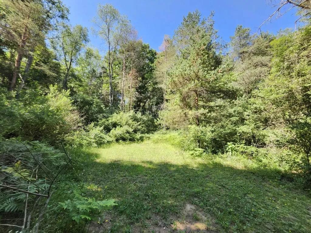 2867 E Hawley Road Eden Township MI 49405