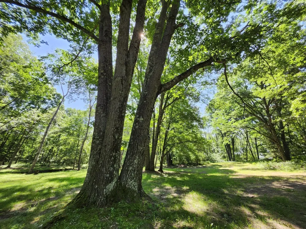 2867 E Hawley Road Eden Township MI 49405