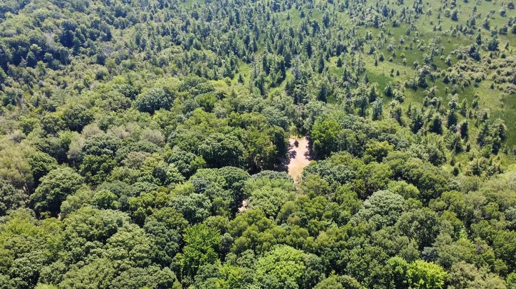 2867 E Hawley Road Eden Township MI 49405