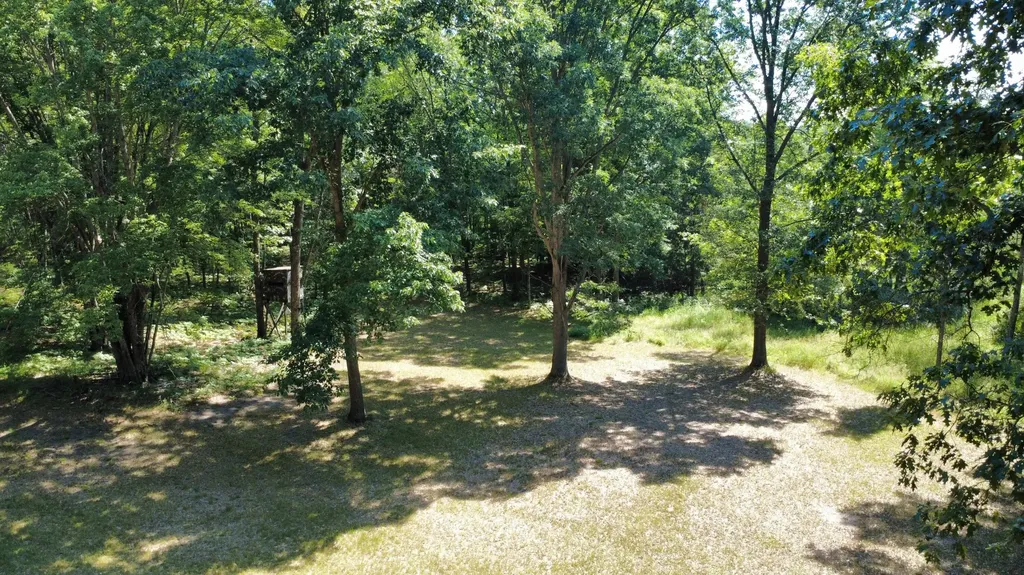 2867 E Hawley Road Eden Township MI 49405