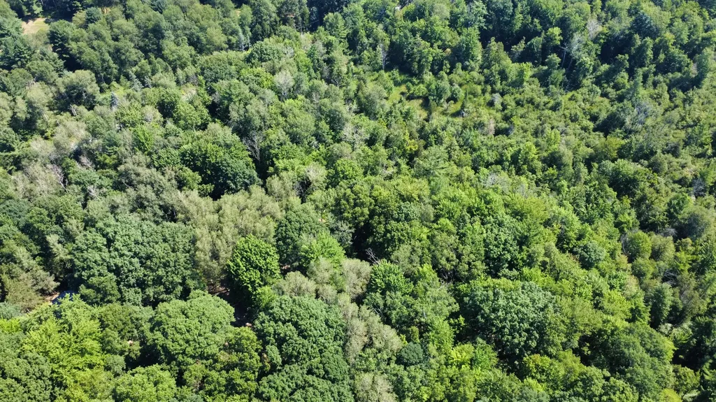 2867 E Hawley Road Eden Township MI 49405