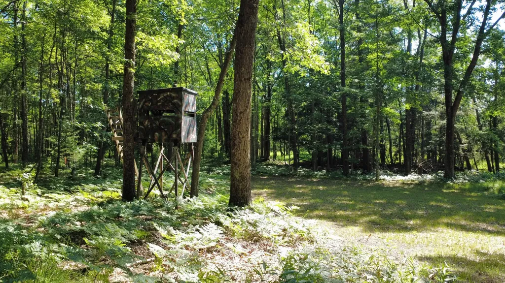 2867 E Hawley Road Eden Township MI 49405