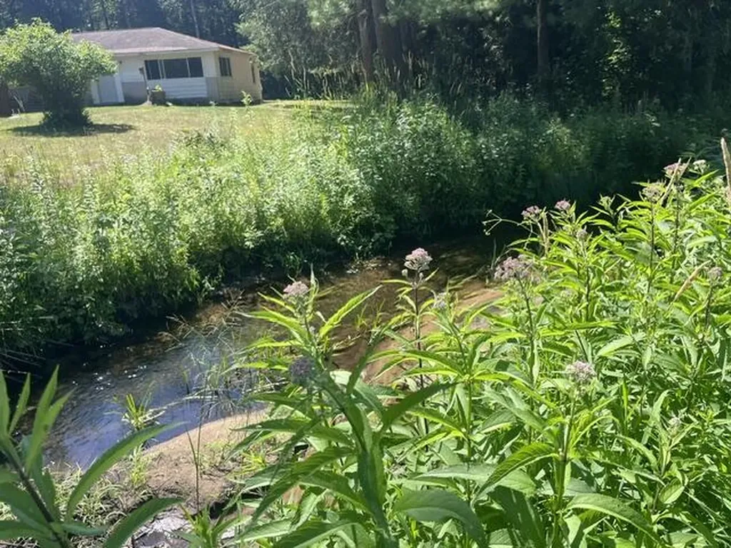 2849 Hoover Road Fork Township MI 49305