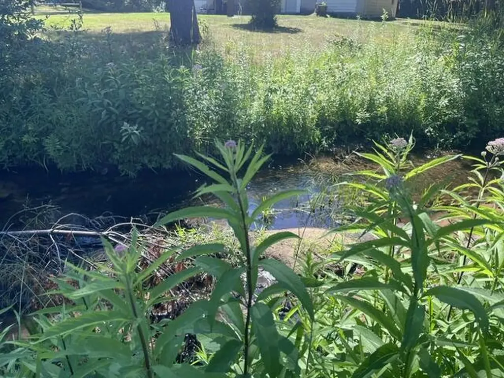2849 Hoover Road Fork Township MI 49305