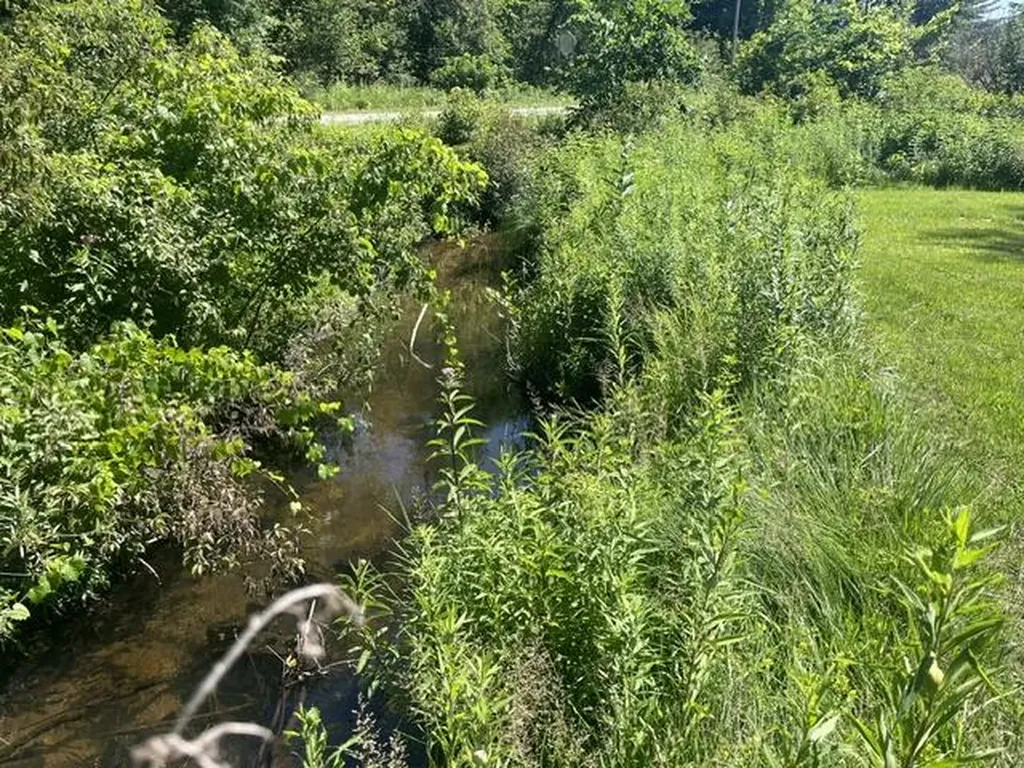 2849 Hoover Road Fork Township MI 49305
