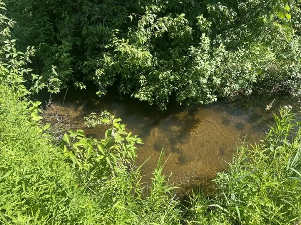 2849 Hoover Road Fork Township MI 49305