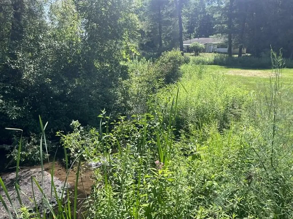 2849 Hoover Road Fork Township MI 49305