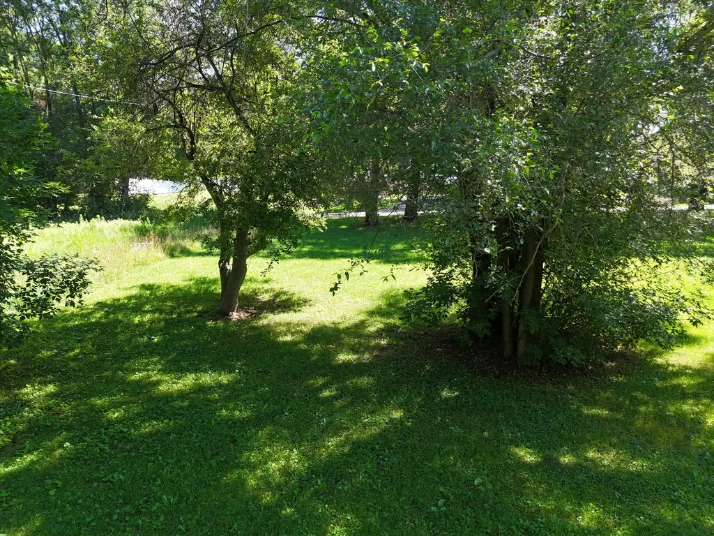 18846 Maple Street Cleon Township MI 49625