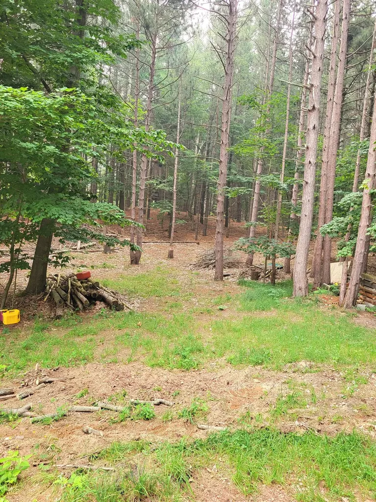 15940 Northwood Highway Arcadia Township MI 49613