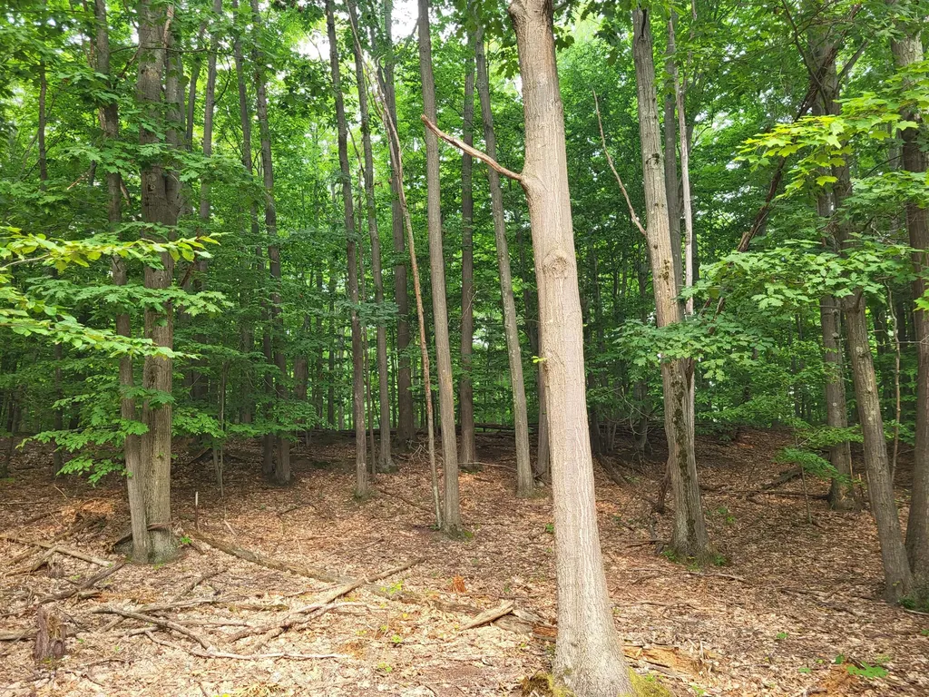 15940 Northwood Highway Arcadia Township MI 49613