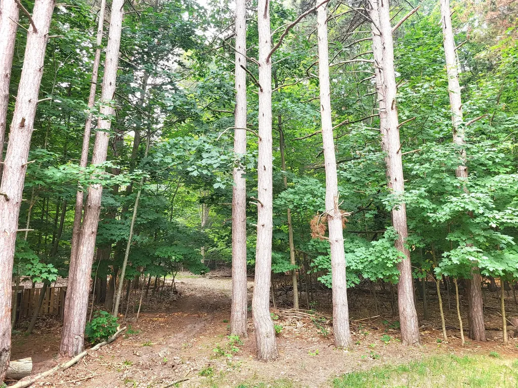 15940 Northwood Highway Arcadia Township MI 49613