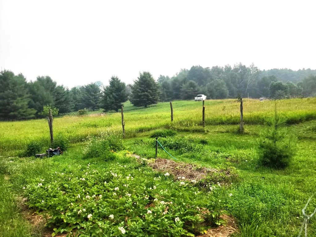 15940 Northwood Highway Arcadia Township MI 49613