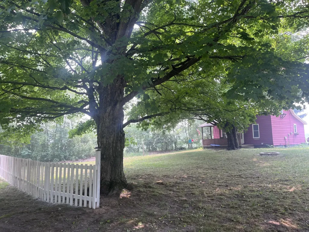 3521 S 204th Avenue Newfield Township MI 49421