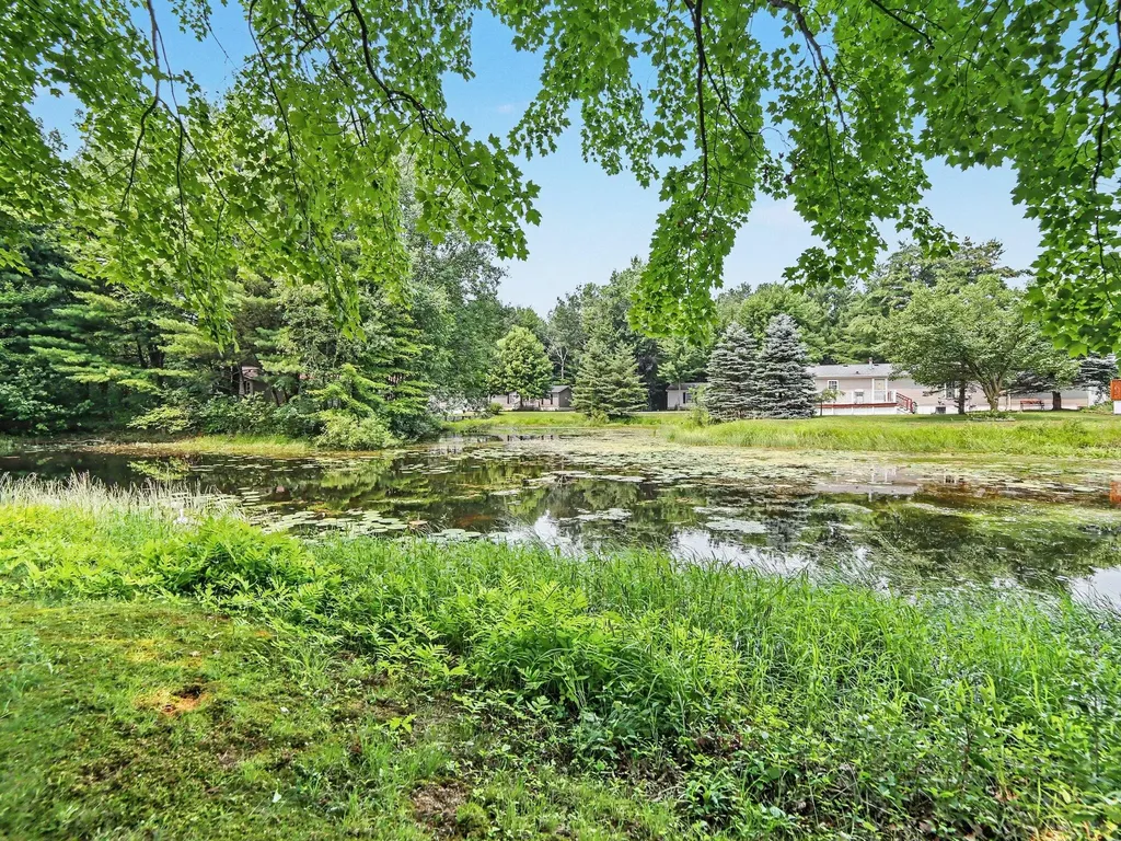 3628 W Forest Hill Circle Amber Township MI 49431