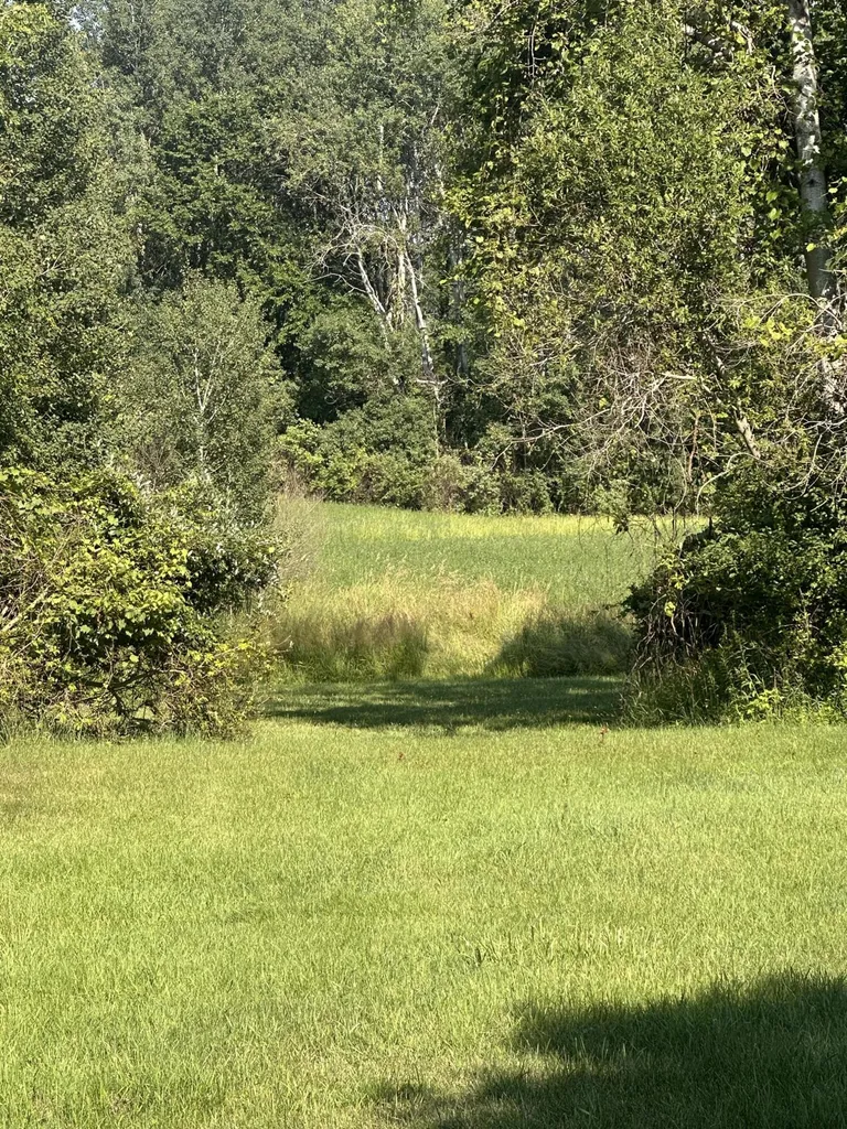 5372 W 8th Dayton Township MI 49412