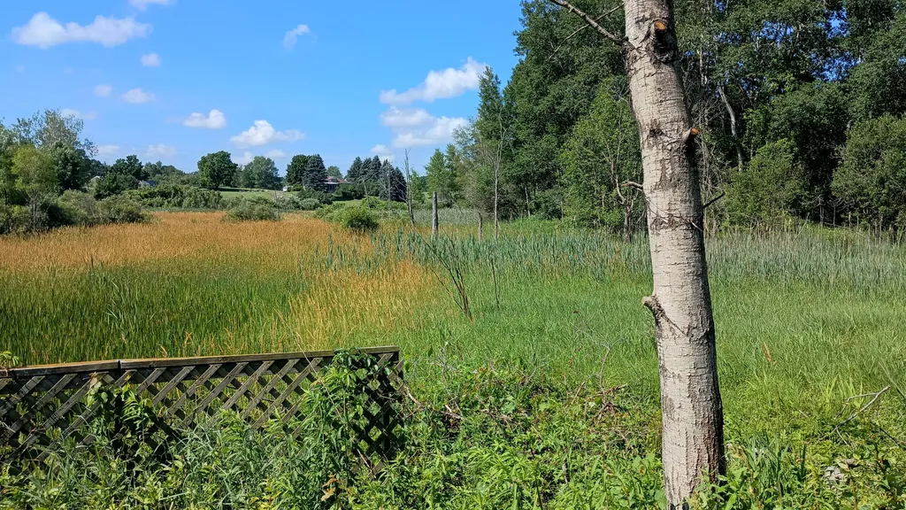 301 S Gordon Road Amber Township MI 49454