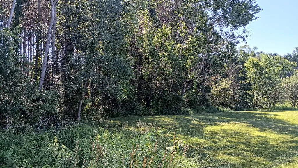 301 S Gordon Road Amber Township MI 49454