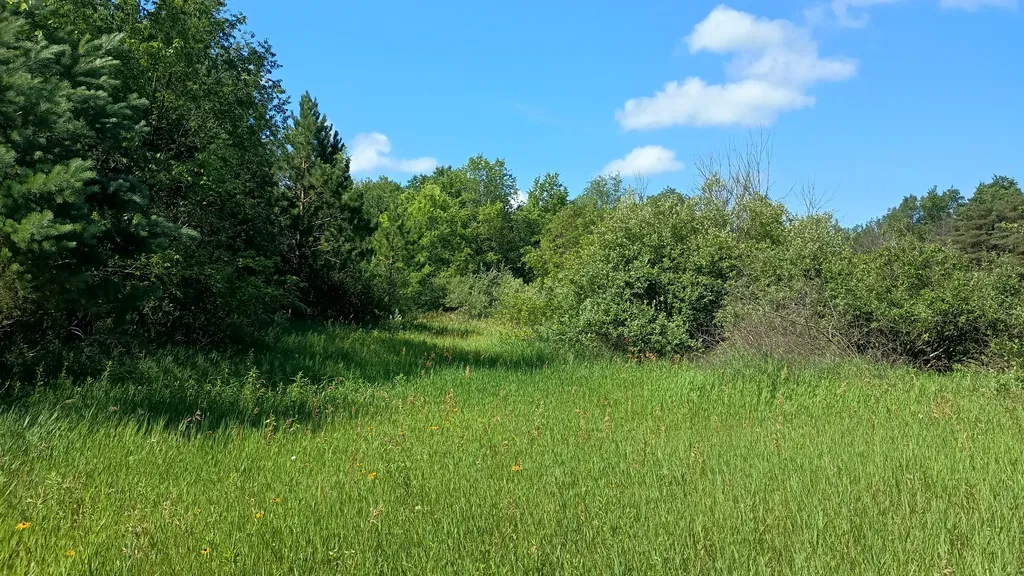 301 S Gordon Road Amber Township MI 49454