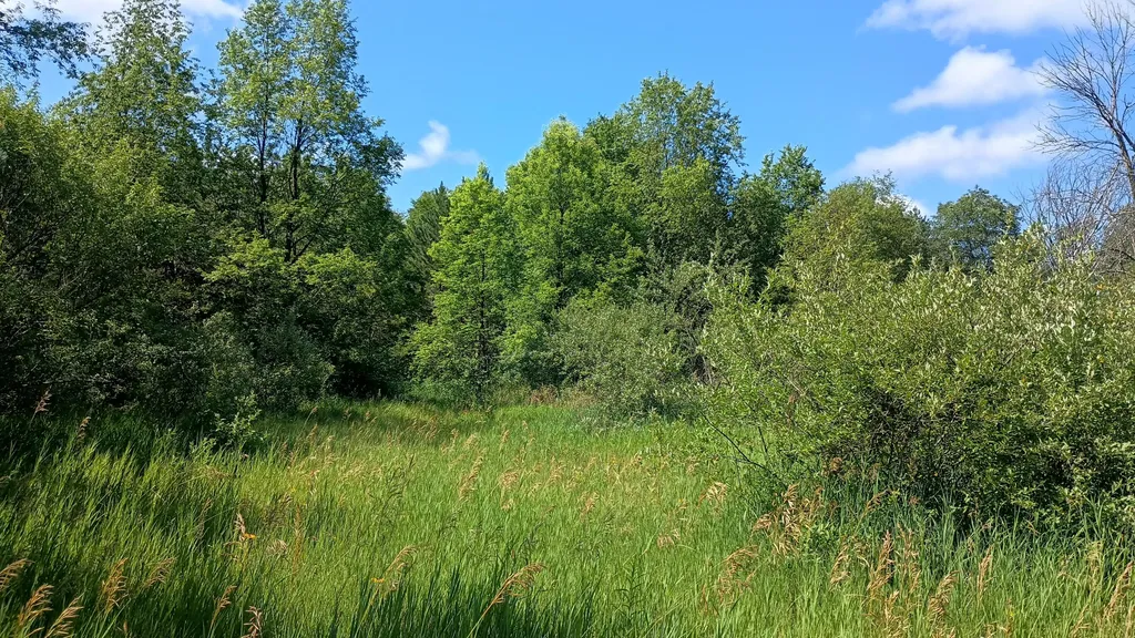 301 S Gordon Road Amber Township MI 49454
